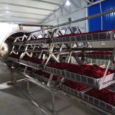 장미빛 꽃 전자레인지 상업적 진공 오븐은 진공 건조 장치 레인지 기계를 양념을 칩니다