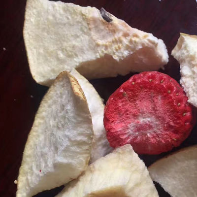 기계 과일 씨 슬러그 드라이어를 말리는 한약 진공 동결