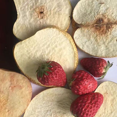 장비 애완동물사료 야채와 과일 드라이어를 말리는 OEM ODM 진공 동결